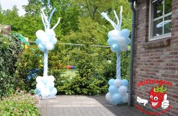 Ballonnen pilaat met sprieten